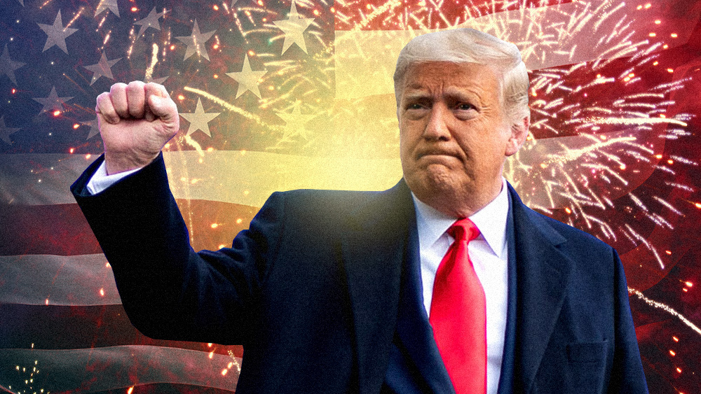WHAT? -- BOMBSHELL: The 2020 election took place under a Trump-declared "National Emergency" that set an Election Day trap for the "unauthorized accessing of election and campaign infrastructure" Trump-Election-Victory-America-Fireworks